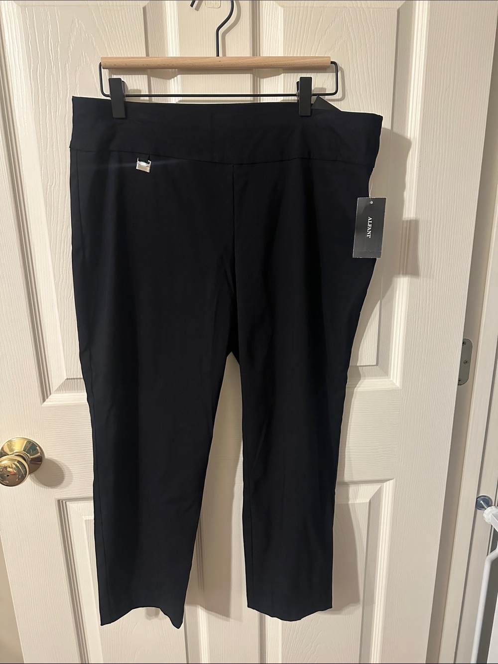 NWT Alfani pants